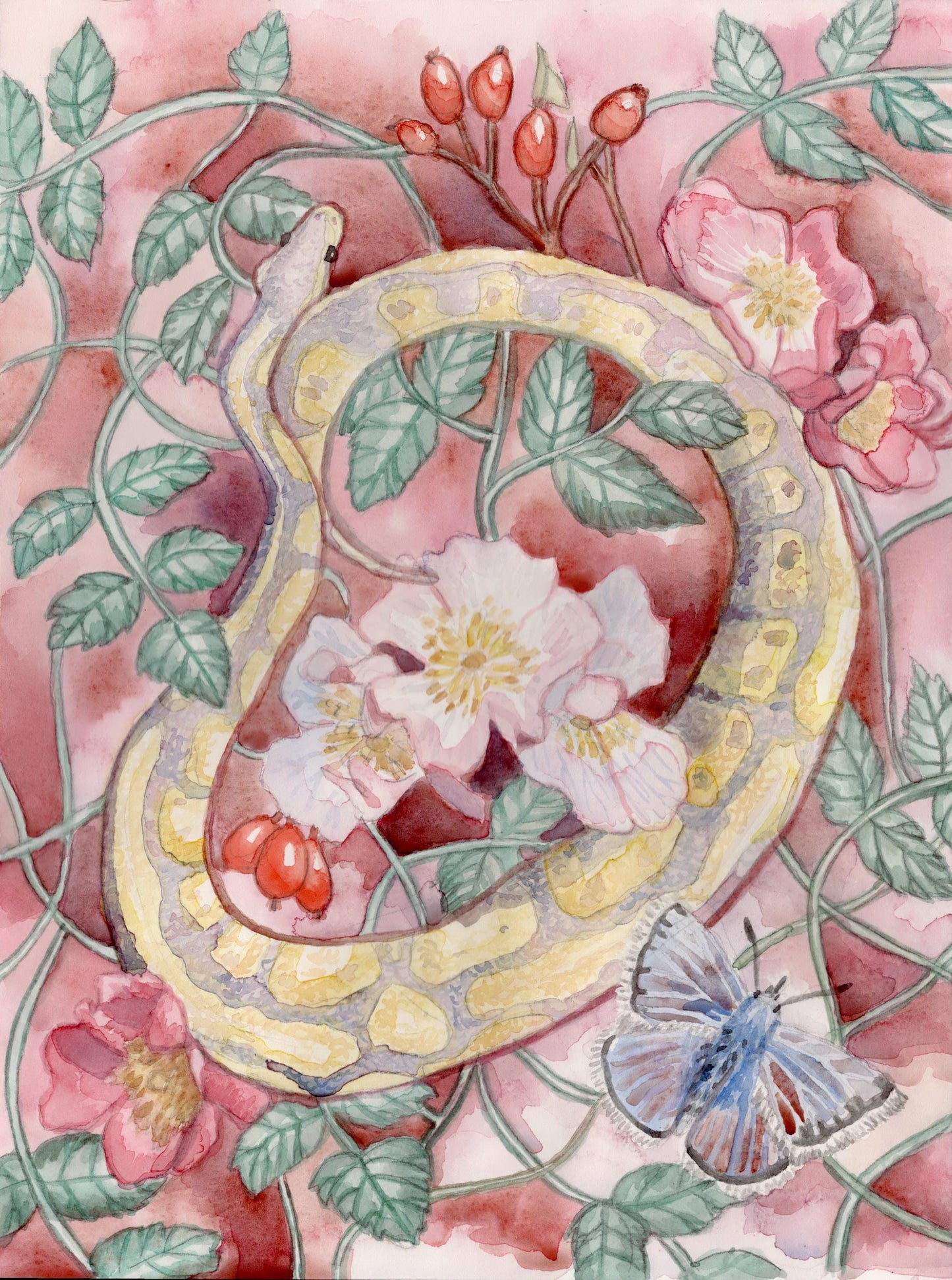 Python in Bloom I 8.5x11 Print