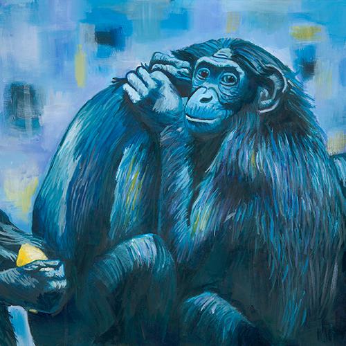 Bonobos in Blue Greeting Card