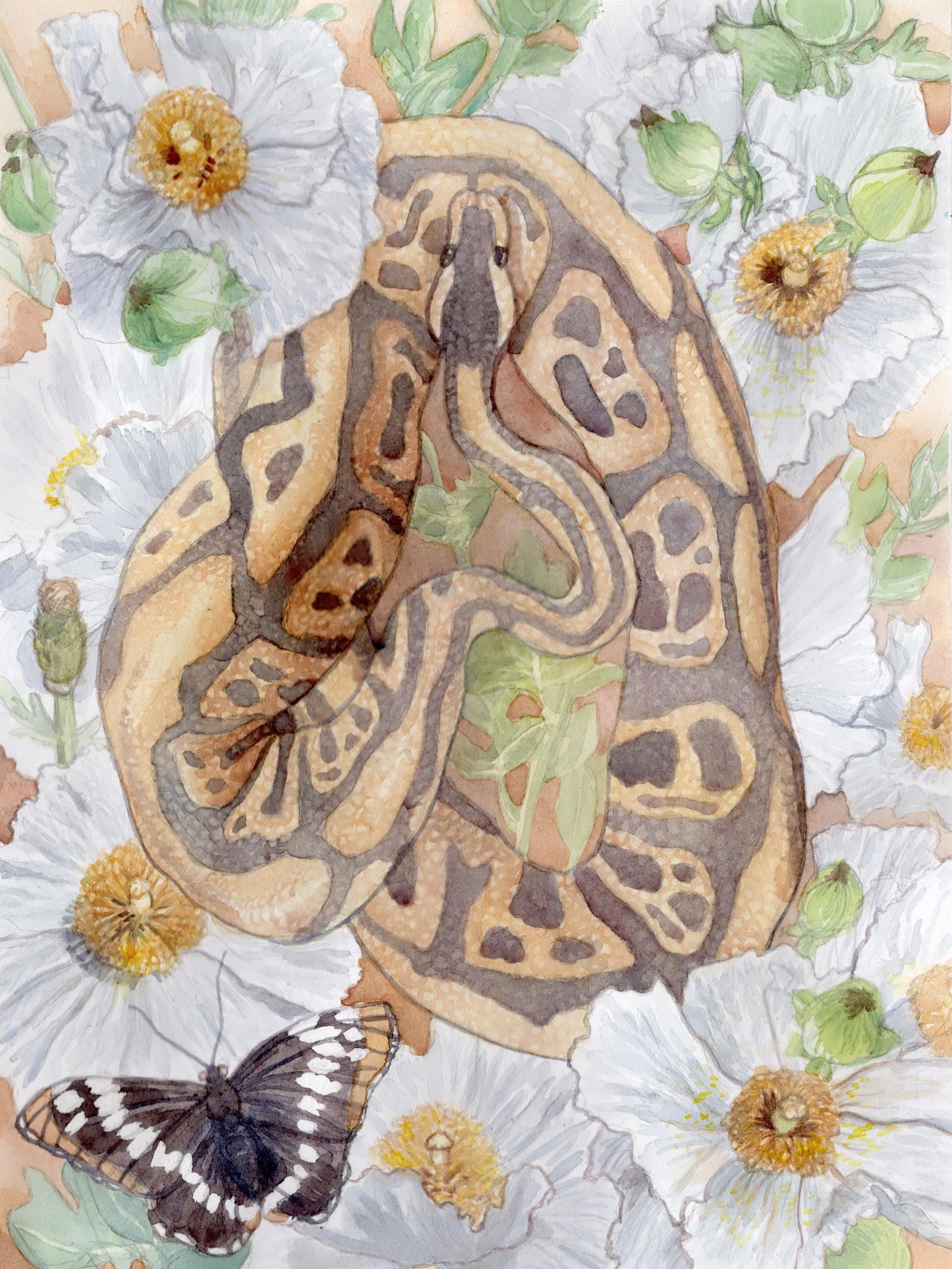 Python in Bloom II Greeting Card