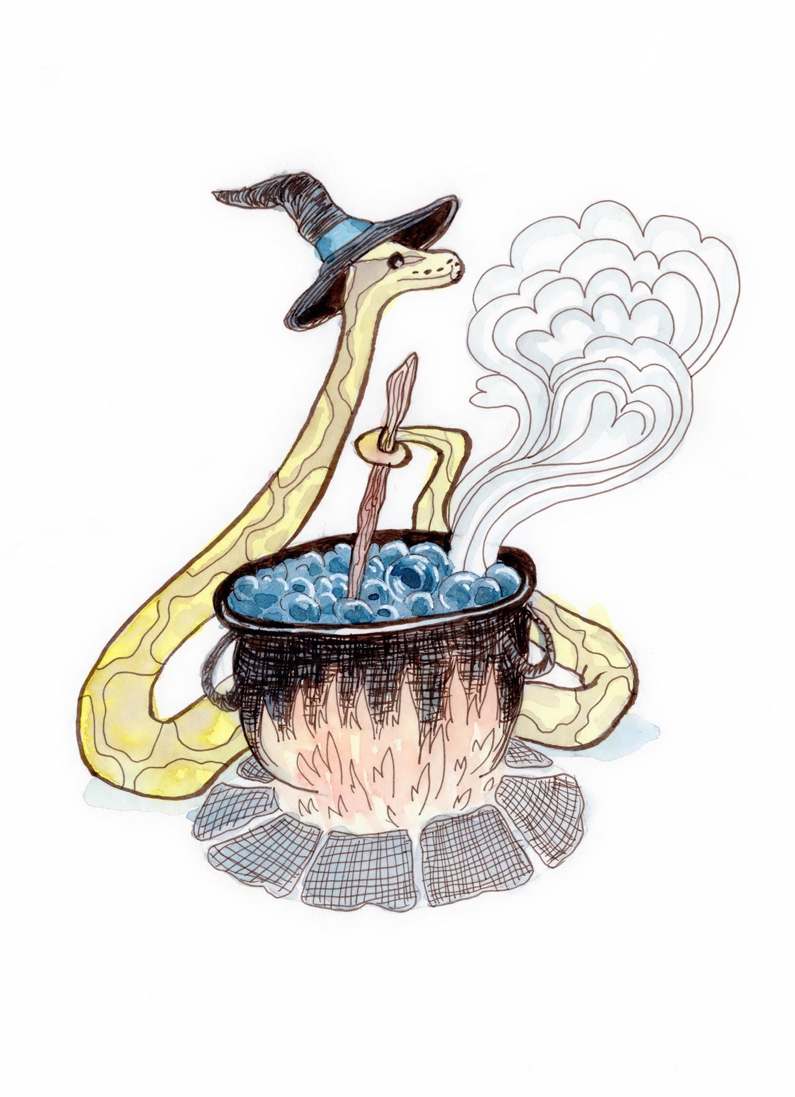 Ball Python Witch 5x7 Prints