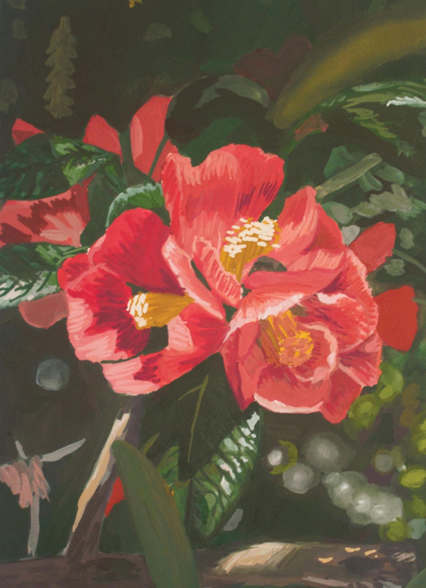 Camelia 5x7 Prints